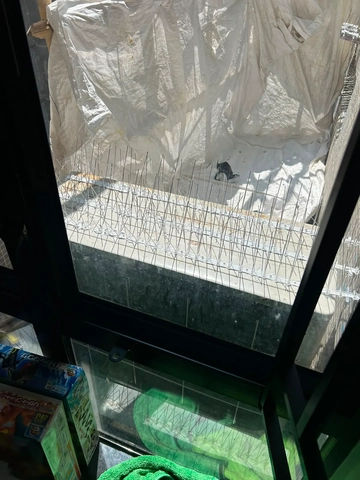 吊船清洗外牆